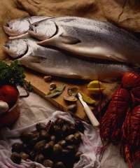 Whitefish Recipes