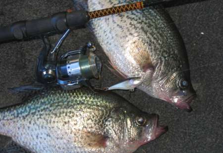 Cranked Crappie