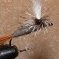 Illustrated Fly Tying Lessons It’s an art form for many fishermen and an impossible task for many others. While patience and attention to detail are key components to becoming an efficient fly-tyer there’s no...